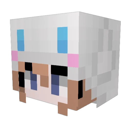 spdc Minecraft avatar head, 3D render