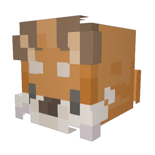 spearfish72 Minecraft avatar head, 3D render