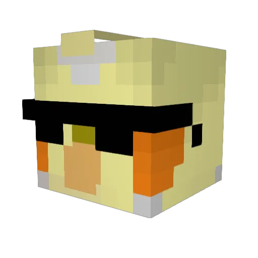 special_needs98 Minecraft avatar head, 3D render