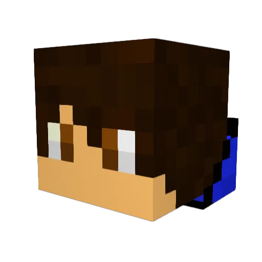 specialness Minecraft avatar head, 3D render