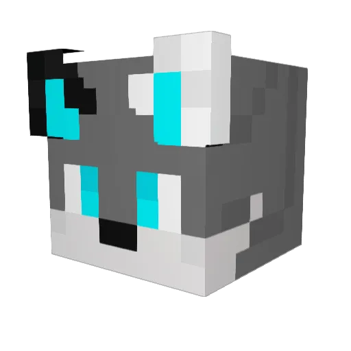 specos643 Minecraft avatar head, 3D render