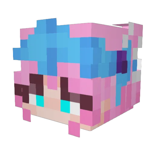 specs193 Minecraft avatar head, 3D render