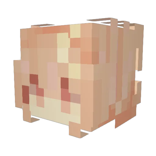 spect3te Minecraft avatar head, 3D render