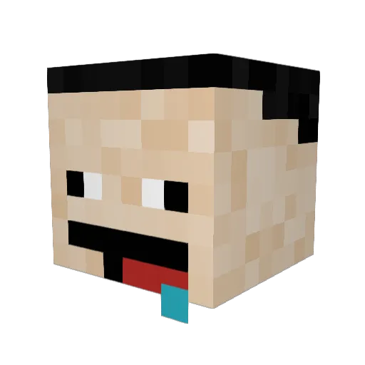spect_elect Minecraft avatar head, 3D render