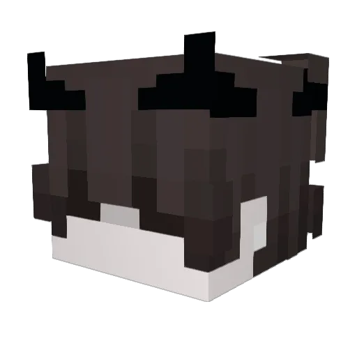 spedL Minecraft avatar head, 3D render