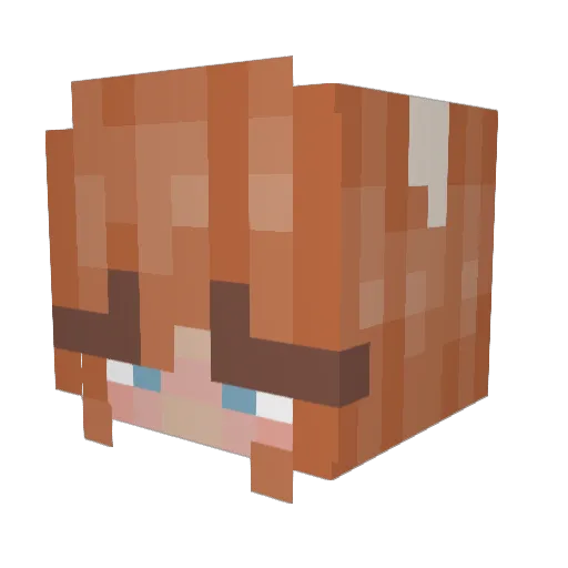 spedisadora Minecraft avatar head, 3D render