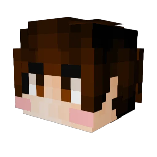 speed8282 Minecraft avatar head, 3D render