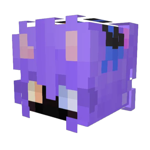 speed9615 Minecraft avatar head, 3D render