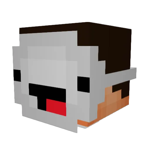 speed_run216 Minecraft avatar head, 3D render