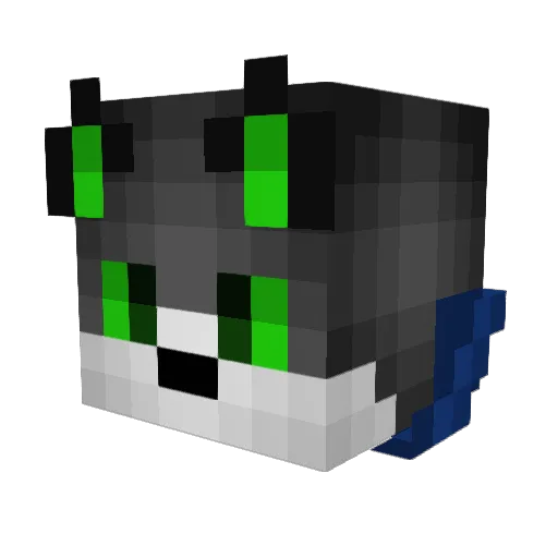 speedbubble27 Minecraft avatar head, 3D render