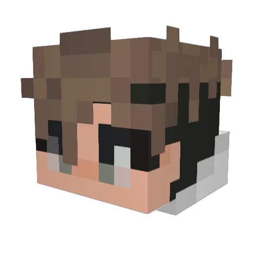 speeder_1 Minecraft avatar head, 3D render