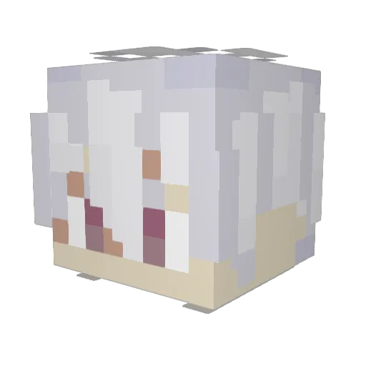 speedfire9654 Minecraft avatar head, 3D render