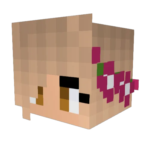 speedracer18 Minecraft avatar head, 3D render