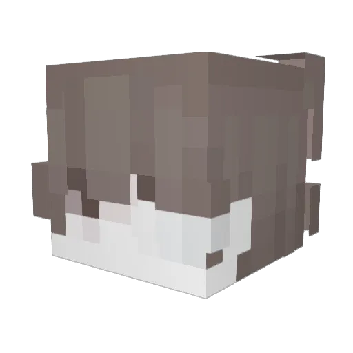 speedtellie Minecraft avatar head, 3D render