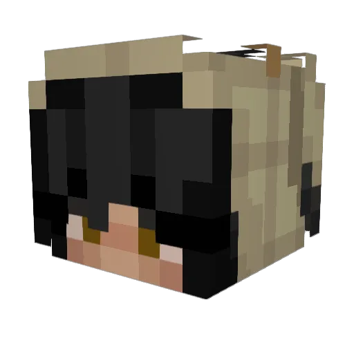 speedy4228 Minecraft avatar head, 3D render