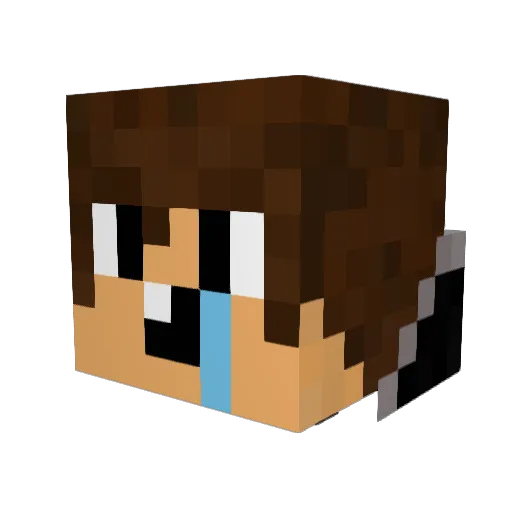 speedy5102 Minecraft avatar head, 3D render