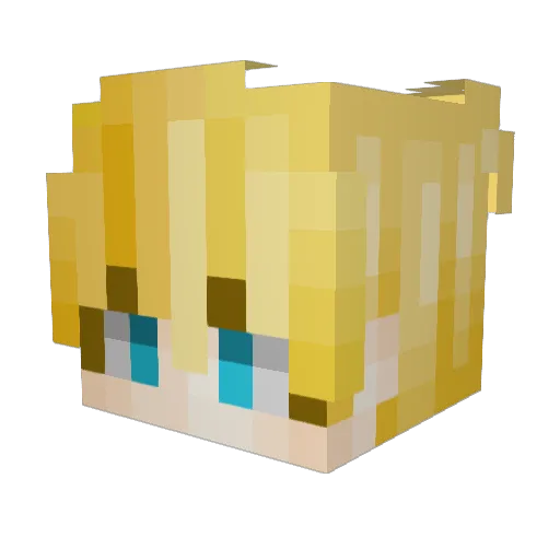 speedygamer2016 Minecraft avatar head, 3D render
