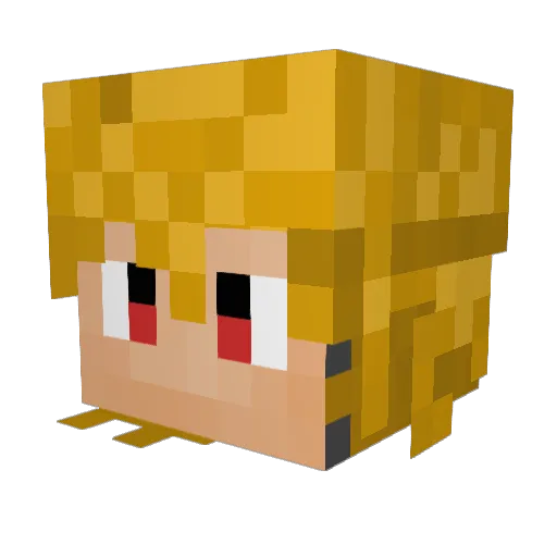 speedykid221 Minecraft avatar head, 3D render
