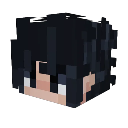 speedyrykojr Minecraft avatar head, 3D render