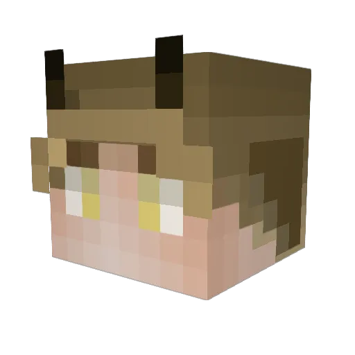 speep_woo Minecraft avatar head, 3D render
