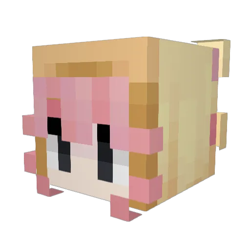 spekjes Minecraft avatar head, 3D render