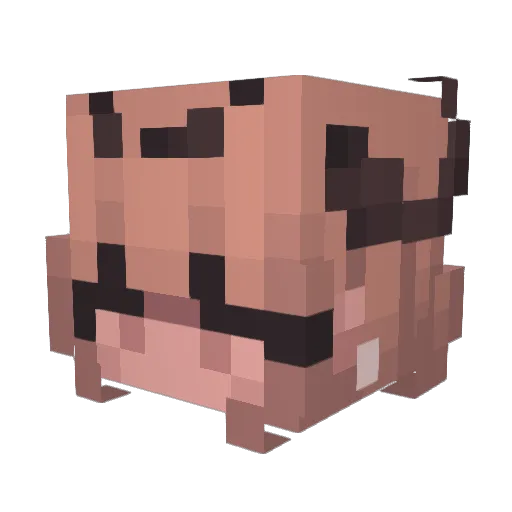 spellbinded Minecraft avatar head, 3D render