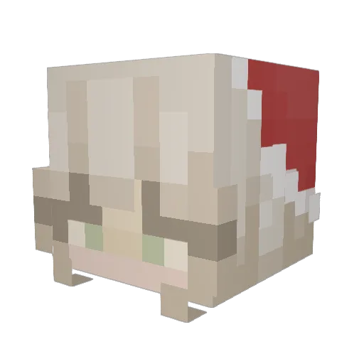 spellink898 Minecraft avatar head, 3D render