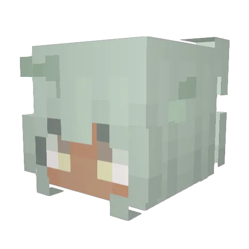 spellproof Minecraft avatar head, 3D render