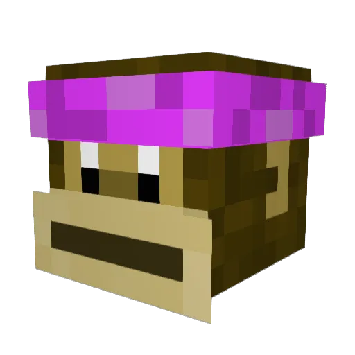 spencerpig Minecraft avatar head, 3D render