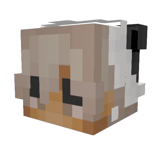 spenceuhh Minecraft avatar head, 3D render