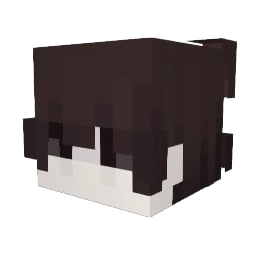 sperminator67 Minecraft avatar head, 3D render