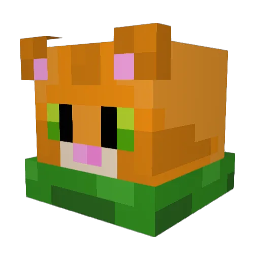 sphinxcoldrain Minecraft avatar head, 3D render