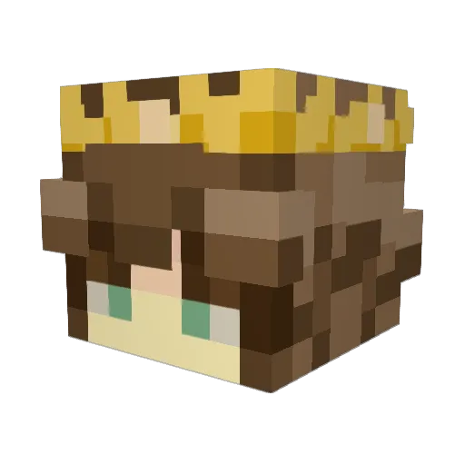 sphonge_ Minecraft avatar head, 3D render