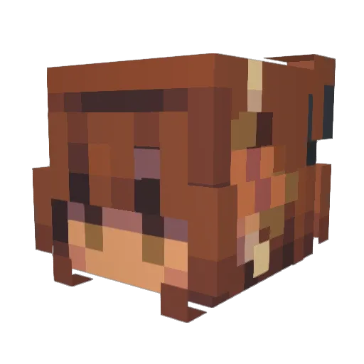 spicybinchh Minecraft avatar head, 3D render