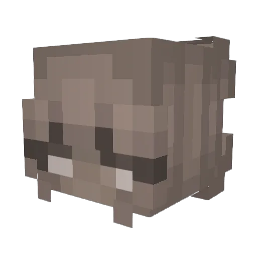 spicychipsz Minecraft avatar head, 3D render