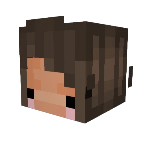 spicyhat Minecraft avatar head, 3D render