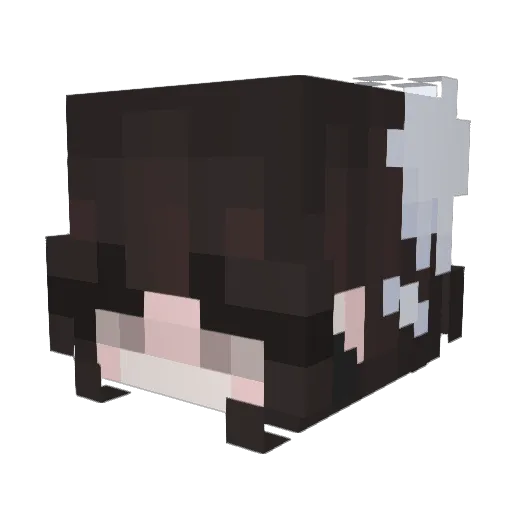 spicyinabag Minecraft avatar head, 3D render