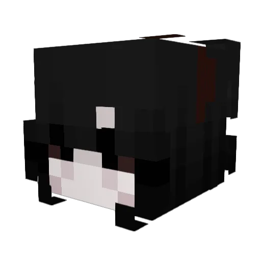 spicykimchiiii Minecraft avatar head, 3D render
