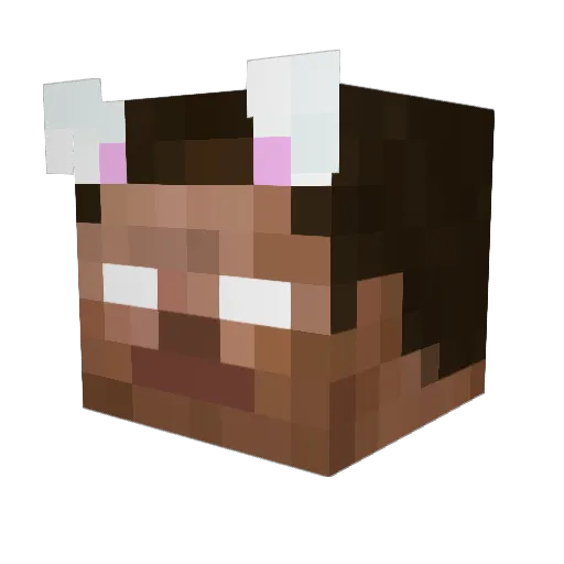 spicymeatball110 Minecraft avatar head, 3D render
