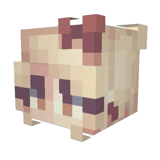 spicyn00dlez Minecraft avatar head, 3D render