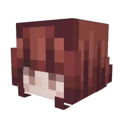 spicynsweet Minecraft avatar head, 3D render