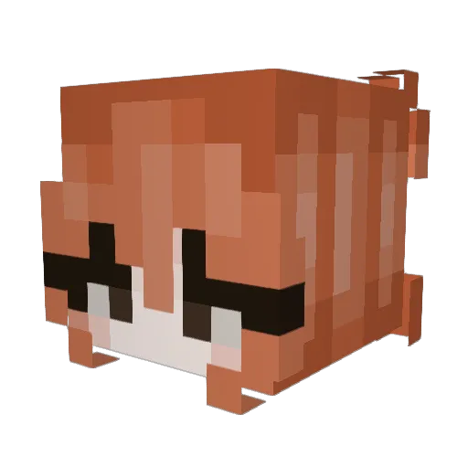 spicysara Minecraft avatar head, 3D render