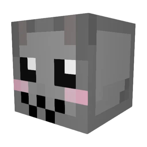 spicyseadawg Minecraft avatar head, 3D render