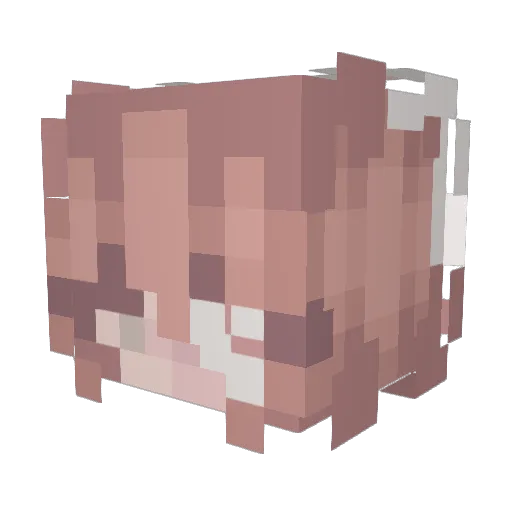 spid3rw3bz Minecraft avatar head, 3D render