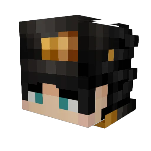 spider1341 Minecraft avatar head, 3D render