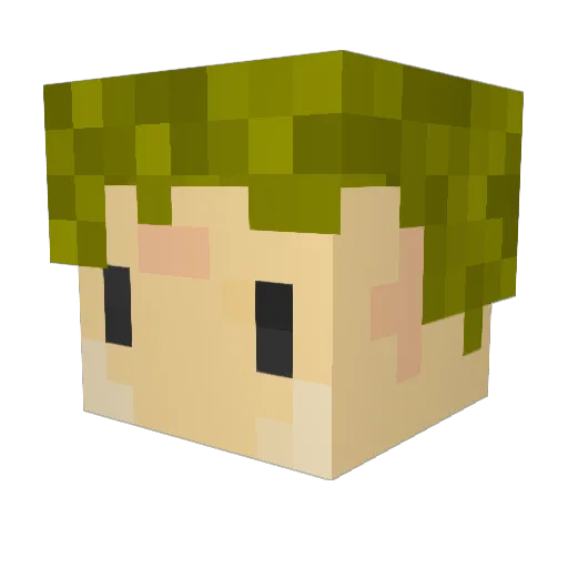 spiderchamp Minecraft avatar head, 3D render