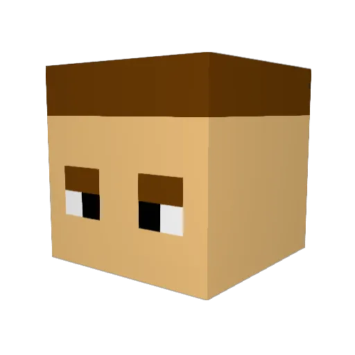 spiderfencer1 Minecraft avatar head, 3D render