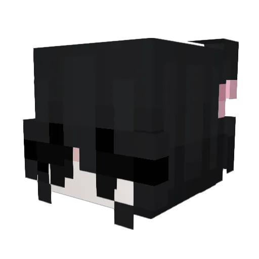 spidergrunge_ Minecraft avatar head, 3D render