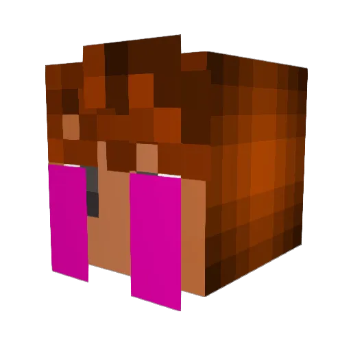 spiderhunter1126 Minecraft avatar head, 3D render