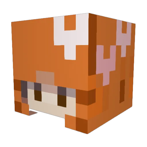 spiderisms Minecraft avatar head, 3D render
